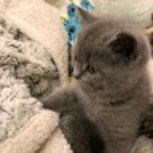 Meet your Posher, Anna c